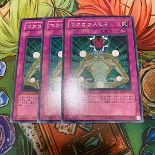 Macro Cosmos Normal 3pcs Special Price