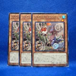 Floowandereeze & Robina Rare 3 piece set