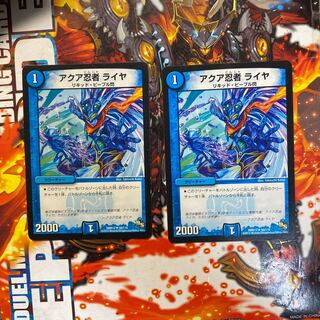 アクア忍者 ライヤ