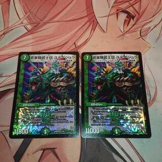 武家類武士目 ステージュラ