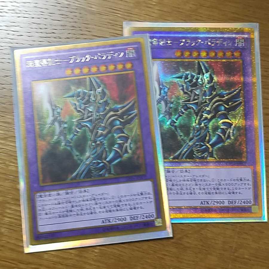 遊戯王カード ブラックパラディンⅹ2