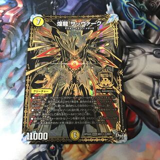 煌龍 サッヴァーク SE