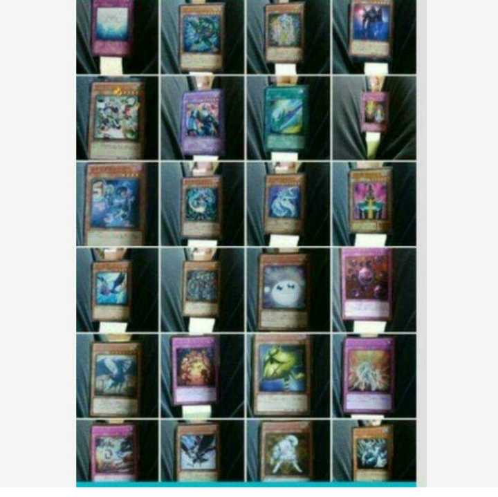 mg-m604-yu-gi-oh 24 different types of collective exhibit