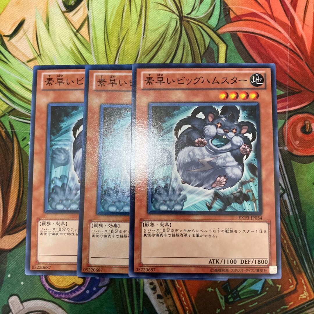 素早いビッグハムスター ノーマル 3枚 特価品