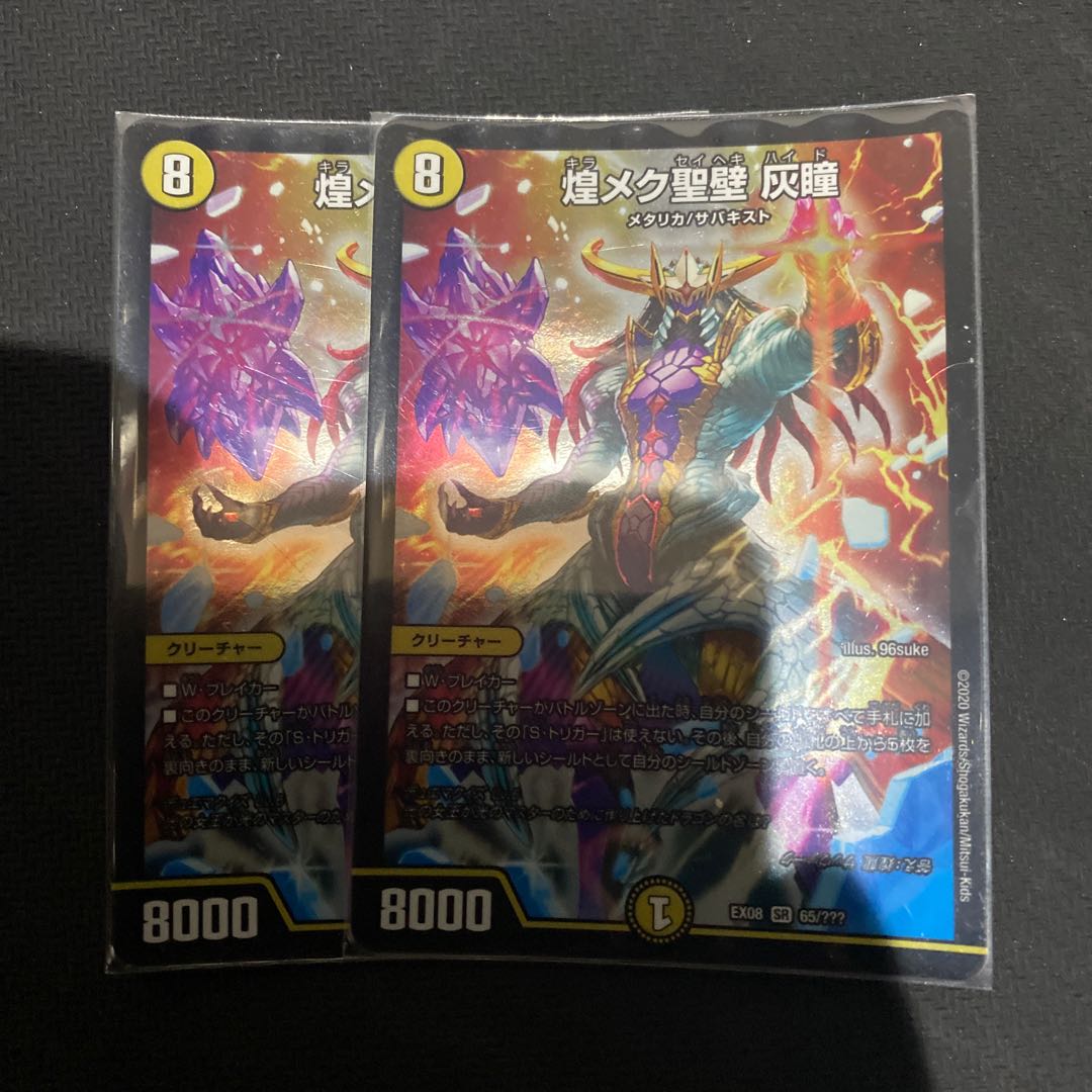 煌メク聖壁 灰瞳