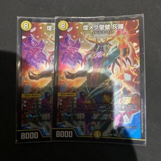 煌メク聖壁 灰瞳