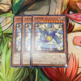 天雷震龍-サンダー・ドラゴン ノーマル　3枚特価品