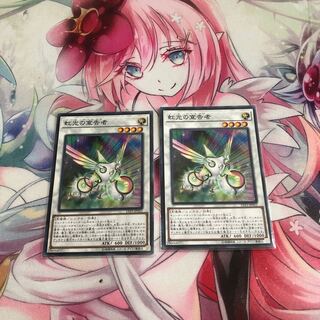 虹光の宣告者 ノーマル2枚