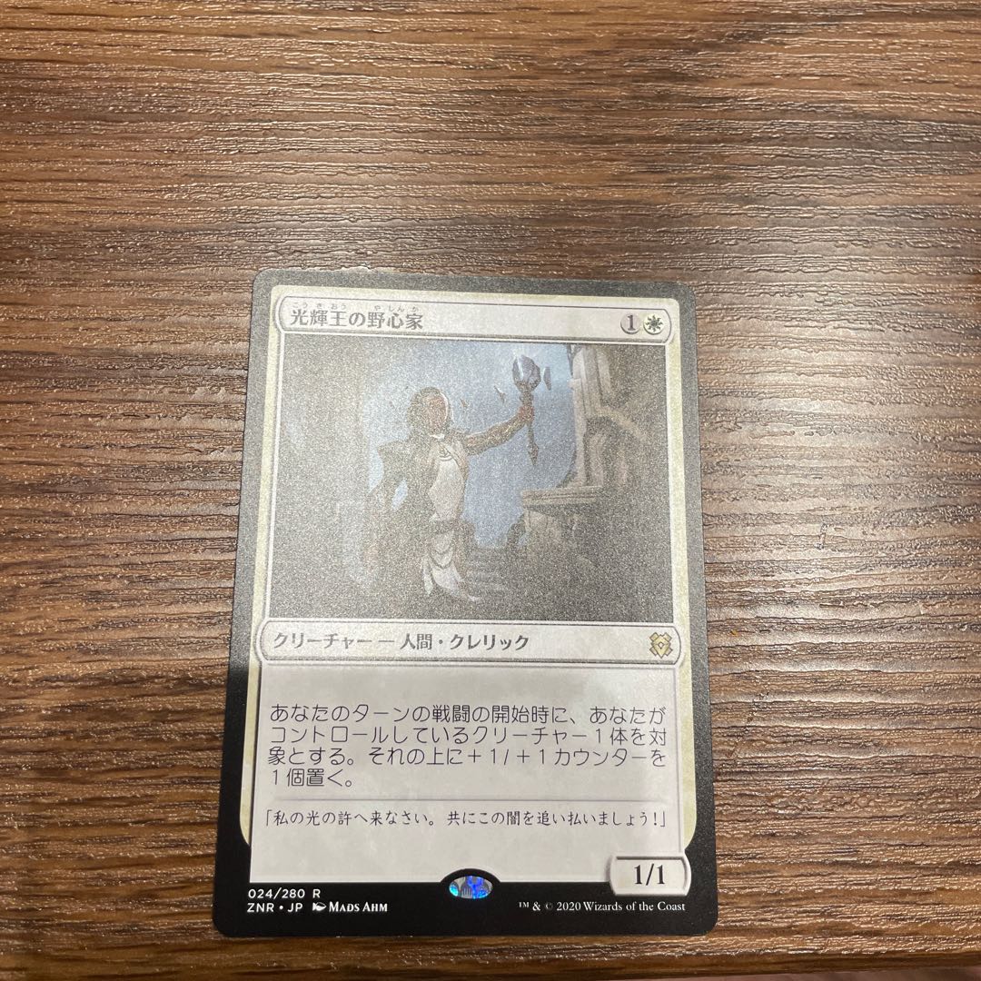光輝王の野心家 レア