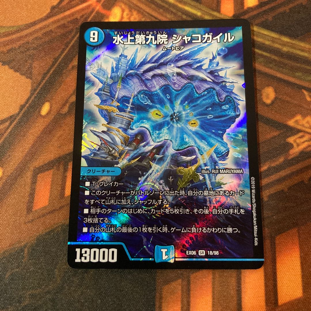 水上第九院 シャコガイル