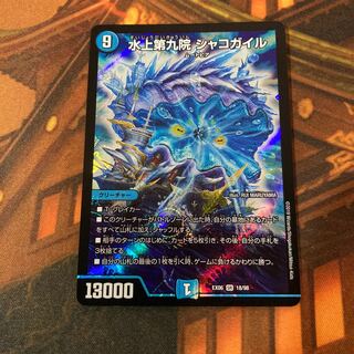 水上第九院 シャコガイル