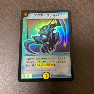 専用 アクアスナイパー