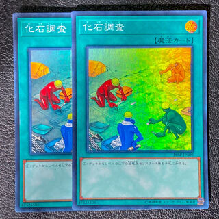 化石調査 スーパーレア　2枚