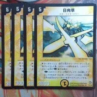 日向草 四枚セット