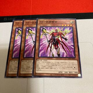 ZS-武装賢者 ノーマル　3枚