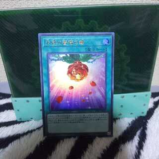 天啓の薔薇の鐘