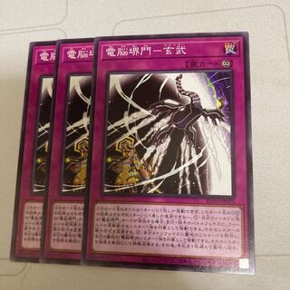 電脳堺門-玄武 ノーマル　3枚