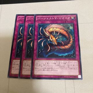 バージェストマ・ピカイア ノーマル　3枚