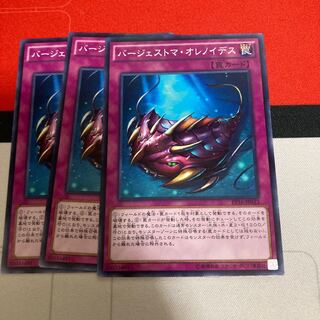 バージェストマ・オレノイデス ノーマル　3枚