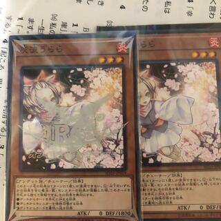 はるうらら  灰流うらら　2枚