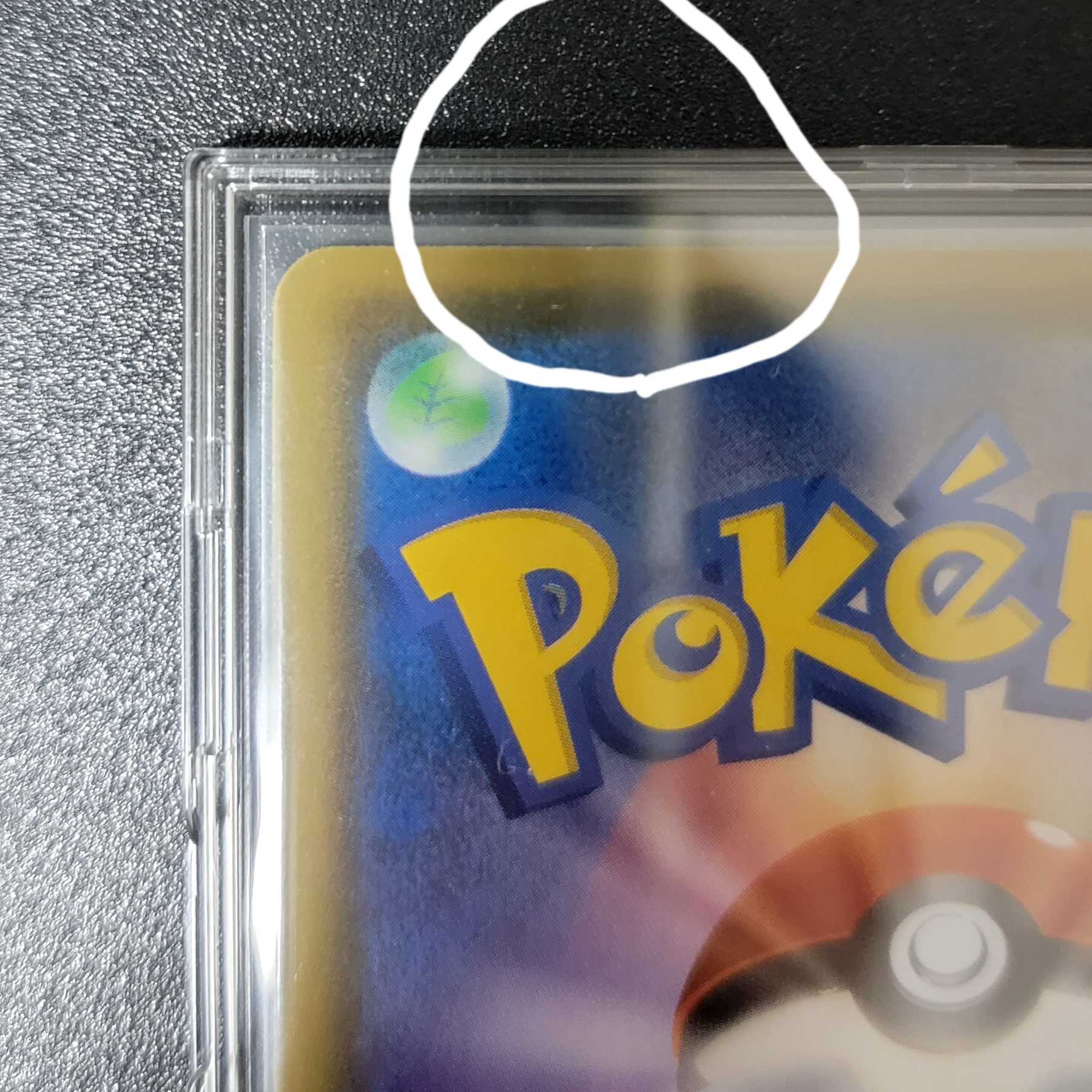 リーリエ エクストラバトルの日