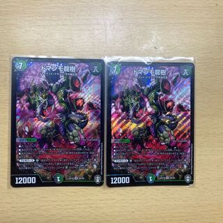 ドマンモ龍樹2枚