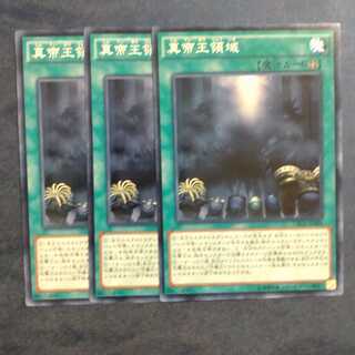 真帝王領域 ノーマル✕３【木林堂】