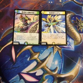 サルトビジャイアントキャンペーン特価！おまけ付き！