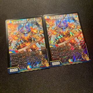 龍風混成 ザーディクリカ　2枚SET