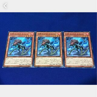 【ぽぽたん】遊戯王 幻創のミセラサウルス 3枚 ノーマル