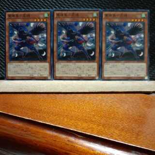 Popotan] Yu-Gi-Oh! 795 Shinobird Crow, 3 normal