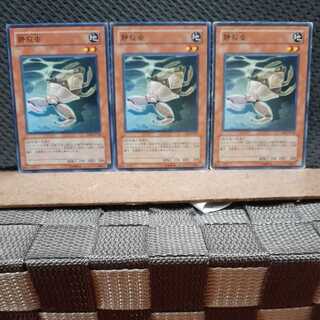 Popotan] Yu-Gi-Oh! 6231 Silent Insect 3 cards Normal