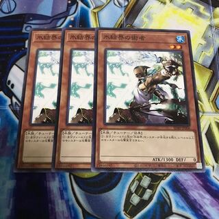 氷結界の術者　ノーマル　Hulu 2039