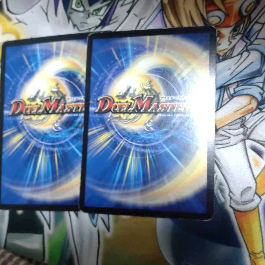 ピクシー・ライフ C