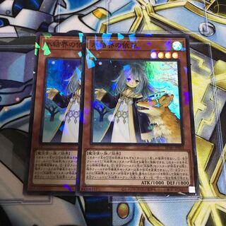 Speaker for the Ice Barriers Parallel Super Rare Hulu 2093