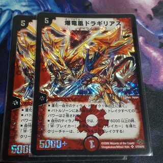 draguillian (any fish of family Cercopithecidae)