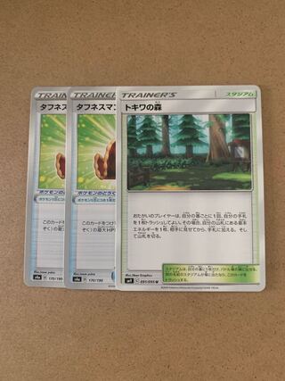 トキワの森 U タフネスマント2枚　セット