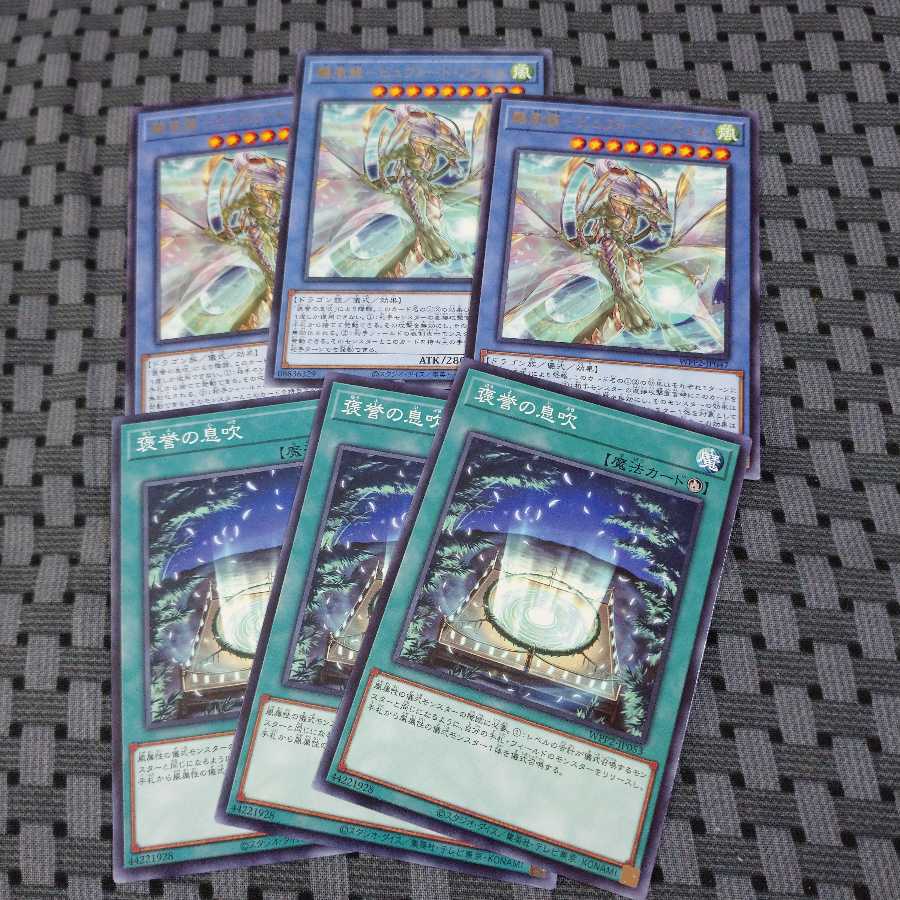 颶風龍-ビュフォート・ノウェム 褒誉の息吹セット