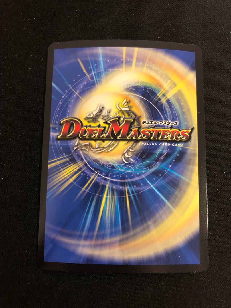 神聖龍 エモーショナル・ハードコア SR