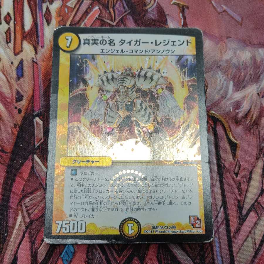 真実の名 タイガー・レジェンド