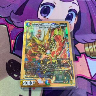 切札勝太&カツキング -熱血の物語- DSR