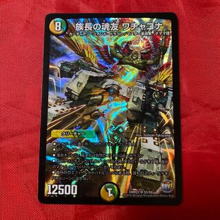 Chief's soulmate Wachagona