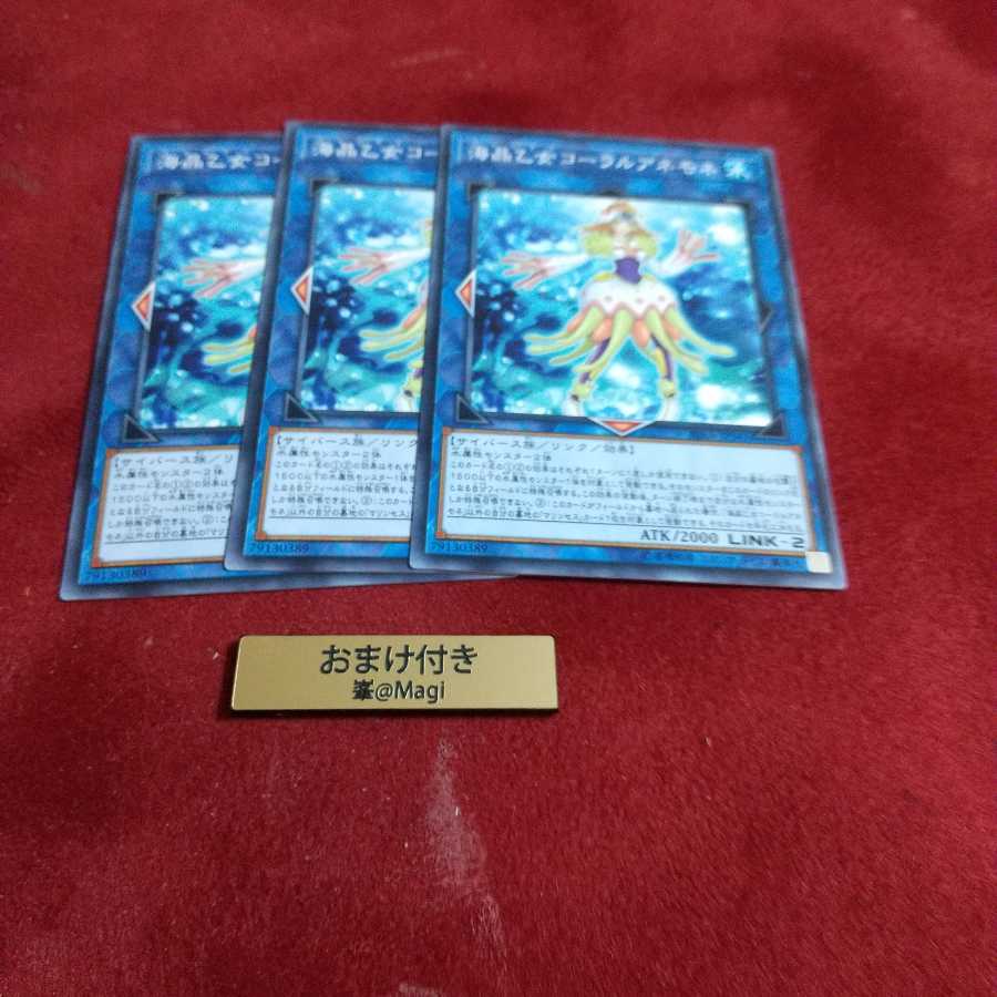 海晶乙女コーラルアネモネ ノーマル　