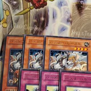 ユウキ様専用 バスタービースト2枚