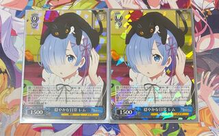 穏やかな日常レム 1枚