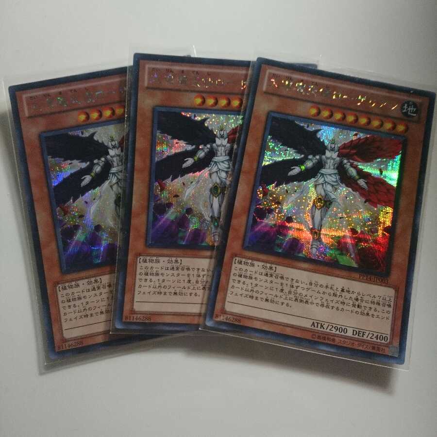 遊戯王 シク 大凛魔天使ローザリアン 3枚