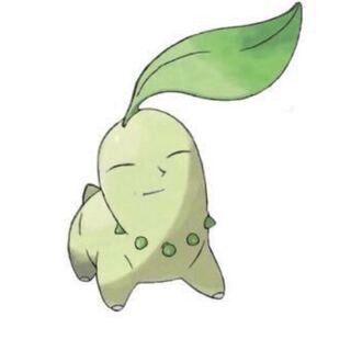 カプ・コケコv探してます。q