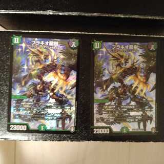 ブラキオ龍樹　2枚