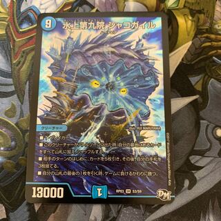 水上第九院 シャコガイル