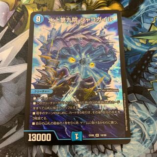 水上第九院 シャコガイル